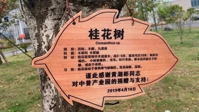 “種”希望！綠化中普，共建美麗家園